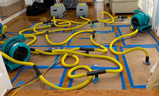 Professional Sewage Cleanup technician working in Moncure, NC